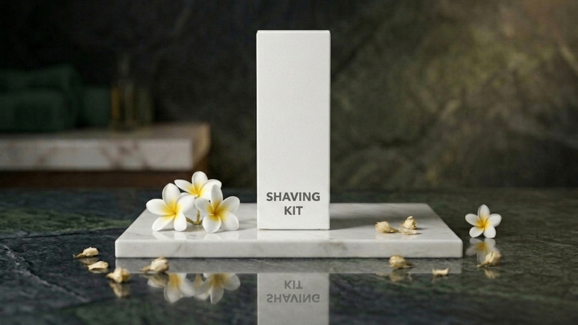 Shaving Kit